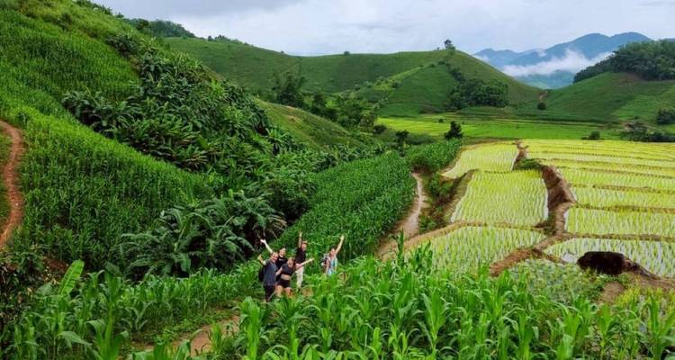 Pequeño grupo de excursionistas celebra en medio de exuberantes terrazas de arroz verdes y campos de maíz en las colinas de Tailandia.