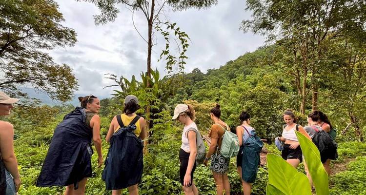 Grupo de mujeres excursionistas con equipo para lluvia contemplan la densa selva verde en un día nublado.