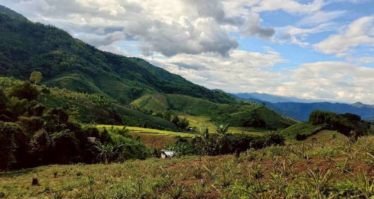 Vista amplia de montañas verdes ondulantes y tierras de cultivo en mosaico bajo un cielo parcialmente nublado.