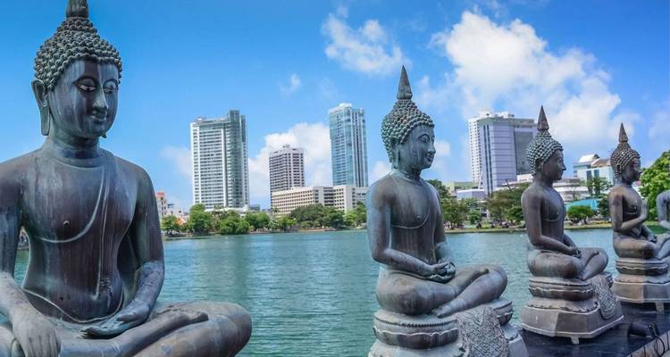 Line of serene Buddha statues beside an urban lake with Colombo skyscrapers beyond a bright blue sky.