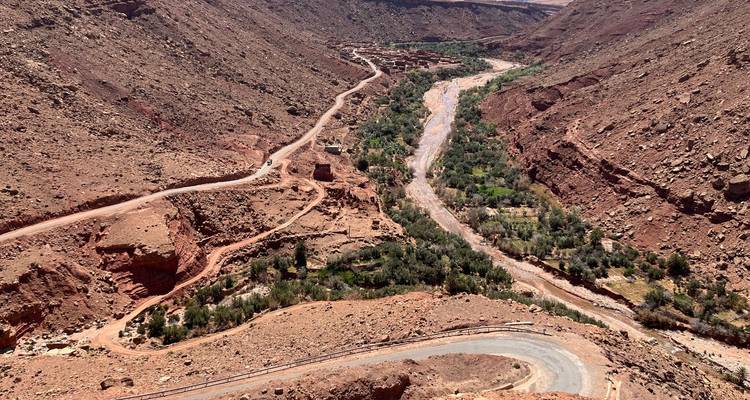 Point de vue élevé sur un canyon désertique sinueux avec une étroite vallée fluviale verdoyante et une route de terre serpentine.