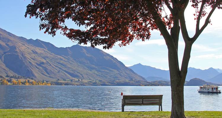 Bench beneath leafy tree overlooking calm lake and mountain backdrop.