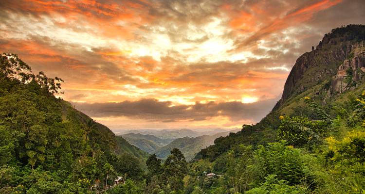Feurig orangefarbener Sonnenuntergangshimmel über sanften Bergkämmen, die mit üppigem Regenwald bedeckt sind