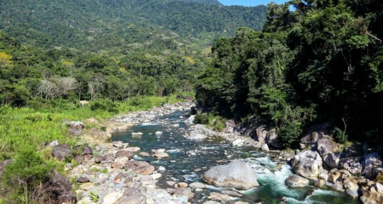 Rotsachtige rivier die door weelderige groene jungle en bergen stroomt