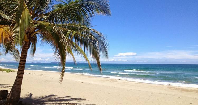 Palmboom die over een rustig zandstrand leunt met blauwe zee en lucht