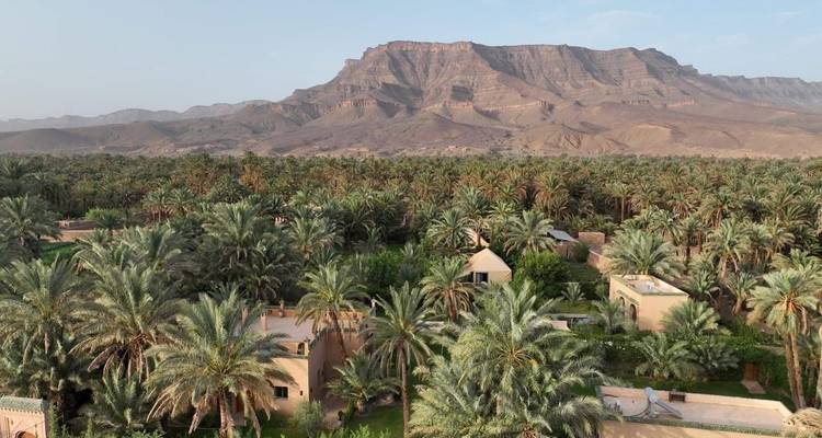 Vue aérienne d'une oasis luxuriante de palmiers avec des montagnes escarpées en arrière-plan
