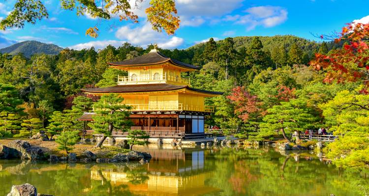 Goldener Pavillon Kinkaku-ji, der sich in einem ruhigen Teich inmitten üppiger grüner Bäume und Herbstfarben spiegelt