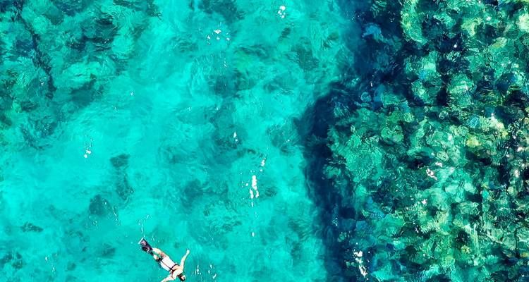 Vue de drone d'un plongeur en apnée flottant au-dessus d'un récif vibrant dans une eau cristalline