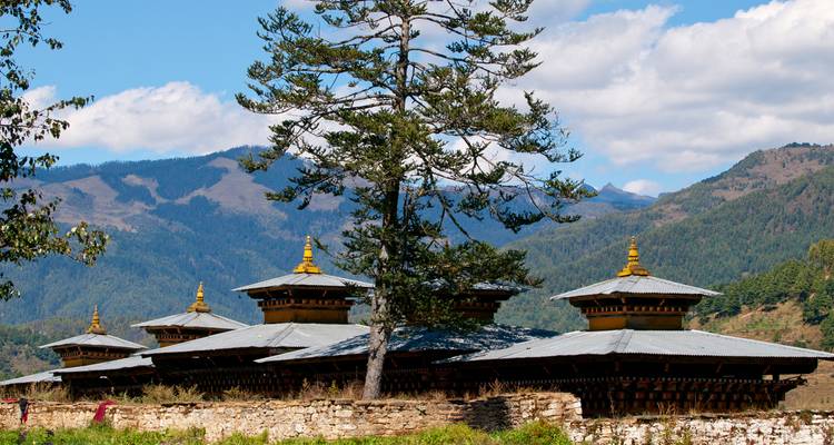 A line of small golden-topped chortens nestles beneath a tall pine tree with forested hills behind.