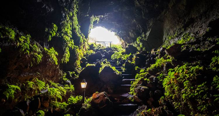 Intérieur recouvert de mousse d'une grotte de lave avec des marches de pierre menant vers une ouverture éclairée par la lumière du jour.