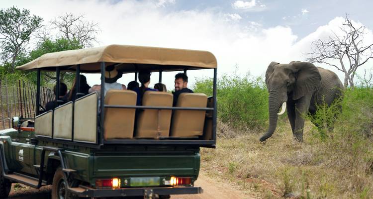Open safari vehicle with tourists watching an elephant in the bushveld.