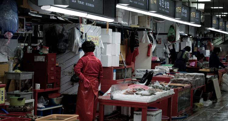 Mercado de mariscos interior con vendedores en delantales y puestos llenos de pescado fresco y crustáceos.