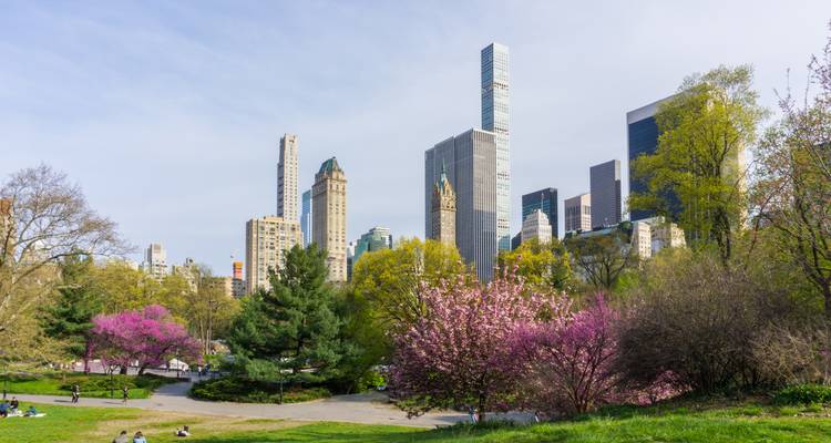 Vue printanière des prairies de Central Park avec des arbres en fleurs et l'horizon de Manhattan.