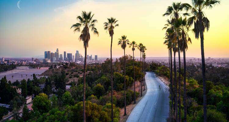 Route sinueuse bordée de palmiers menant vers l'horizon de Los Angeles au coucher du soleil.