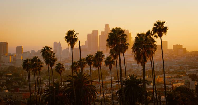 Des palmiers en silhouette se dressent devant l'horizon du centre-ville de Los Angeles baigné d'une chaude lumière dorée.
