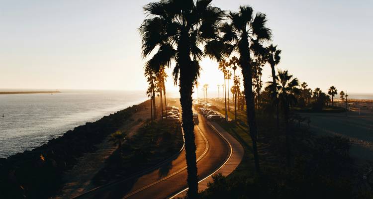 Met palmbomen omzoomde kustweg die gloeit in het gouden uur licht naast de oceaan.