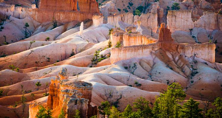 Chimeneas de hadas y crestas coloridas del Parque Nacional Bryce Canyon iluminadas por la cálida luz del sol.