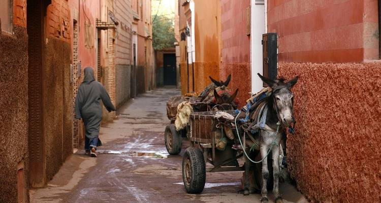 Callejón estrecho de Marrakech con un lugareño encapuchado caminando junto a carretas de burros cargadas de mercancías.