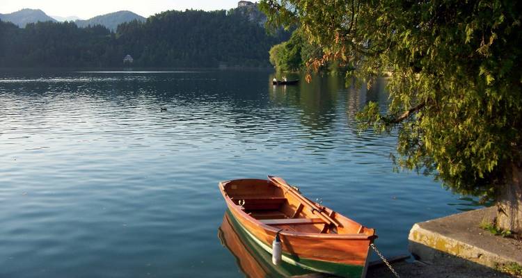 Bateau à rames en bois amarré sur le lac paisible de Bled avec un rivage boisé