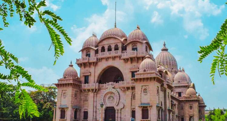 Elegant pink stone domed temple complex framed by leafy branches under blue sky.