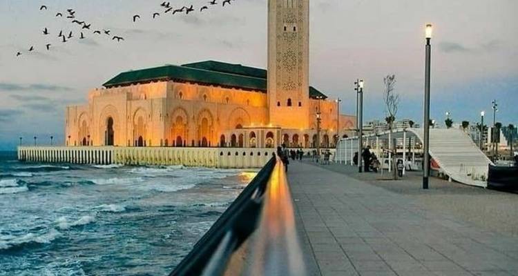 Vue du soir de la Mosquée Hassan II illuminée depuis la promenade en bord de mer avec des oiseaux dans le ciel