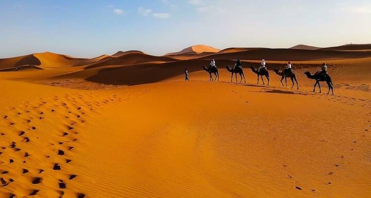 Una caravana de camellos con jinetes atraviesa las enormes dunas anaranjadas del Sahara marroquí.