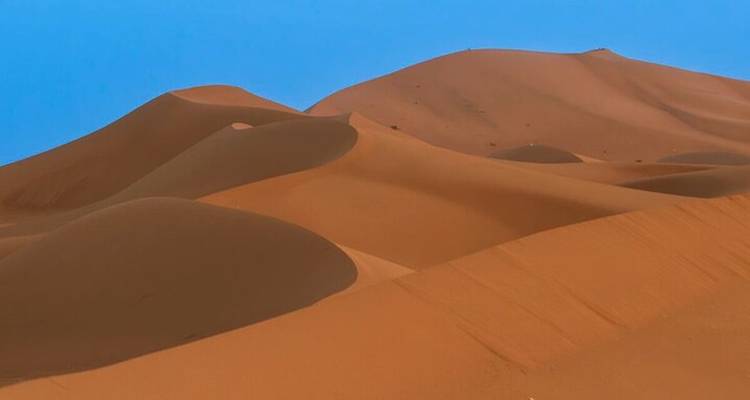Suaves dunas de arena naranja esculpidas por el viento bajo un cielo azul intenso en el Sahara.