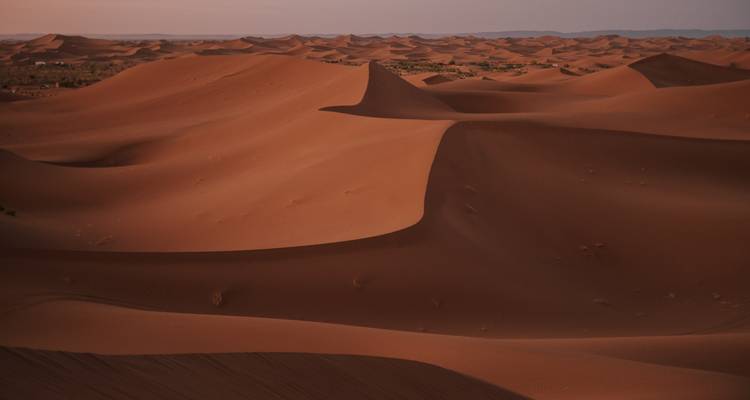 Infinitas dunas de arena ondulantes bañadas en luz cálida a través del desierto.