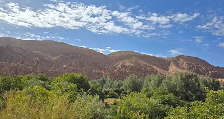 Exuberante vegetación de oasis verde rodeada de áridas montañas rocosas bajo un cielo azul con nubes dispersas.