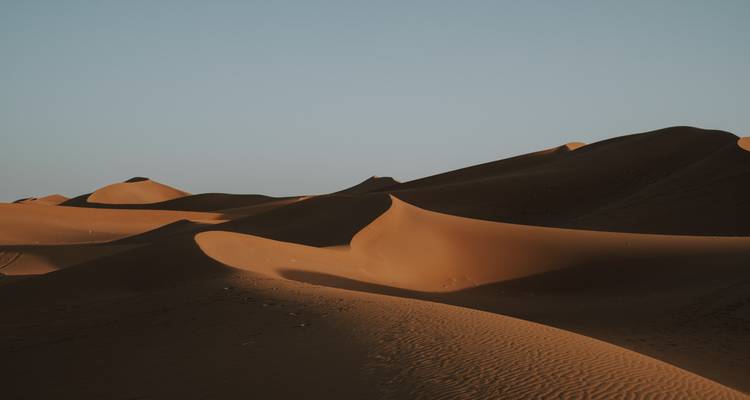Las dunas de arena curvas crean formas fluidas bajo la luz suave de última hora de la tarde.
