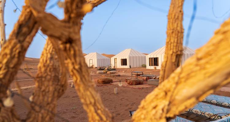 Tiendas de lona en el desierto y zona de descanso vistas a través de ramas de árboles retorcidas en un campamento del desierto.