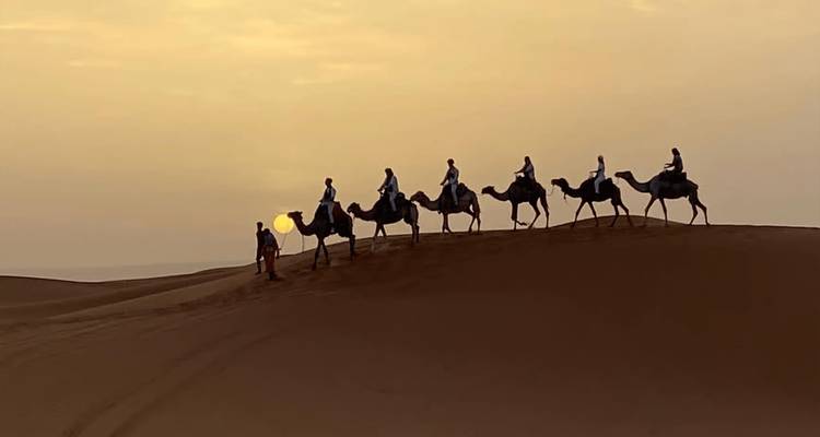 Silueta de caravana de camellos coronando una duna al atardecer con guía liderando el camino
