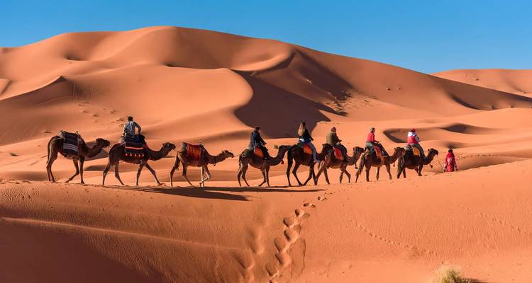 Caravana de camellos atraviesa dunas prístinas del Sahara bajo un cielo azul despejado