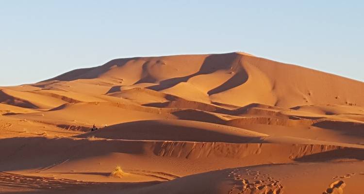 Vista panorámica de dunas de arena naranja esculpidas bajo un cielo azul claro de la madrugada en el Sahara