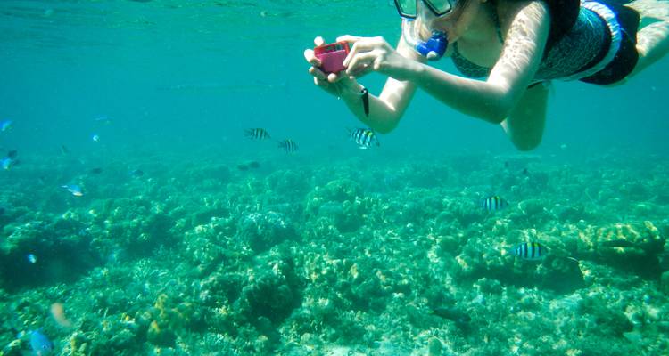 Snorkelaar met camera zweeft boven levendige koraalrif dat wemelt van de gestreepte vissen.