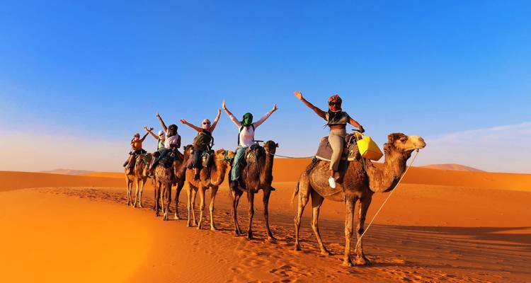 Fila de jinetes jubilosos levantan sus brazos sobre camellos contra un cielo sahariano azul vívido.