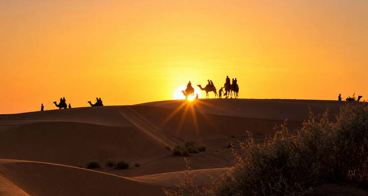 Siluetas de camellos cruzando la cima de una duna contra una puesta de sol naranja vibrante con el estallido del sol.