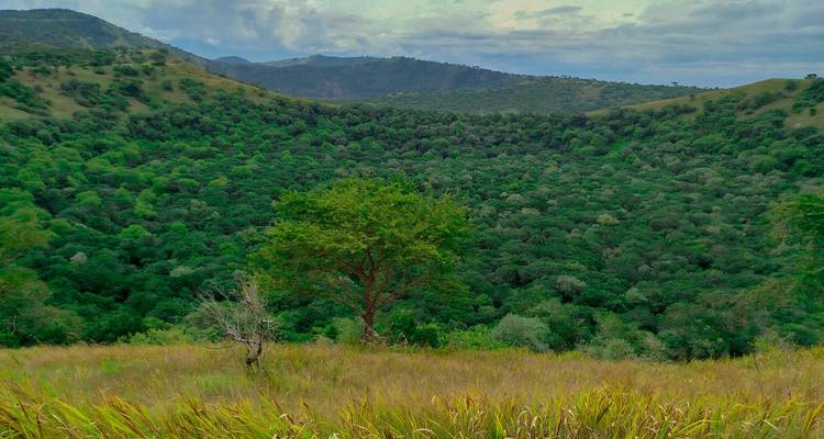 Exuberante valle verde en forma de cráter rodeado de colinas ondulantes bajo un cielo nublado