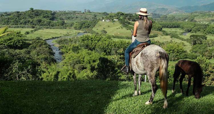 Un cavalier observe une vallée luxuriante et une rivière sinueuse depuis le sommet herbeux d'une colline.