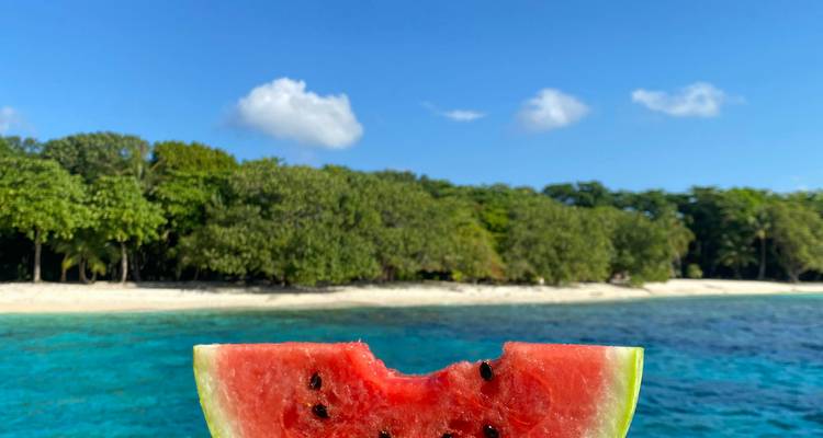 Gros plan d'une tranche de pastèque croquée tenue devant un arrière-plan de mer turquoise, de sable blanc et d'arbres tropicaux denses.