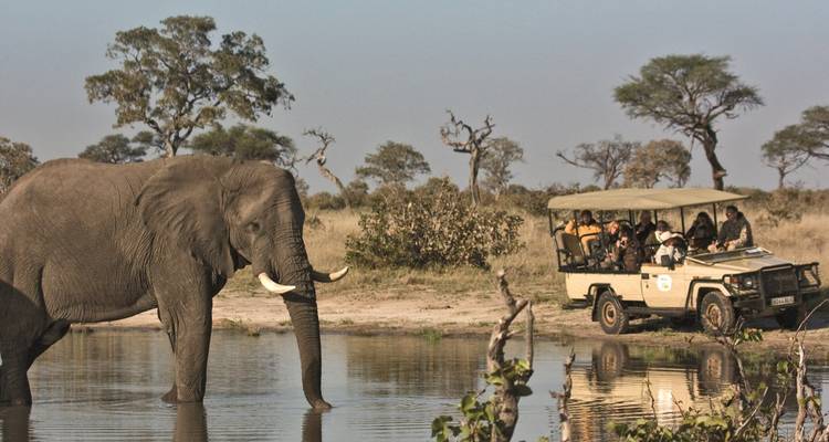 Large bull elephant drinking at a waterhole while a safari vehicle with tourists observes from close range.