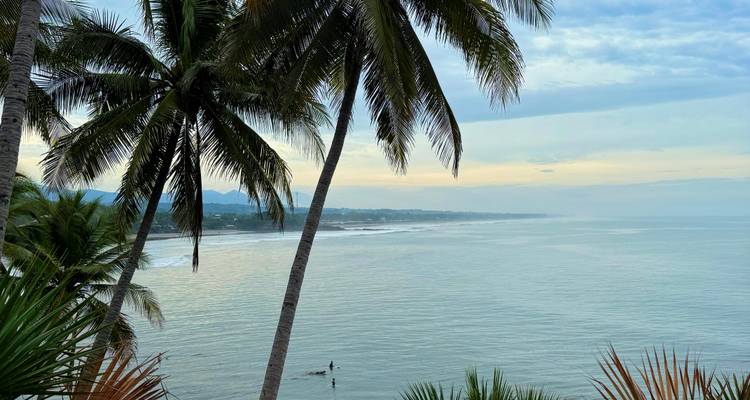 Serene coastal scene framed by palm fronds overlooking gentle waves and distant surfers at dawn.