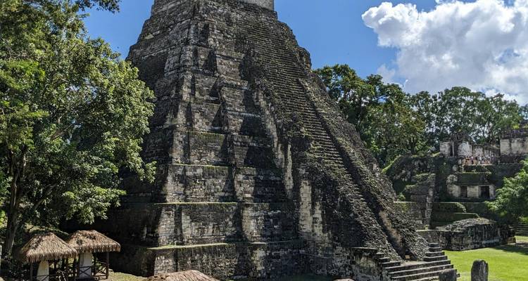 Een torenhoge Maya-piramide in Tikal rijst op te midden van tropisch bos onder een heldere hemel.