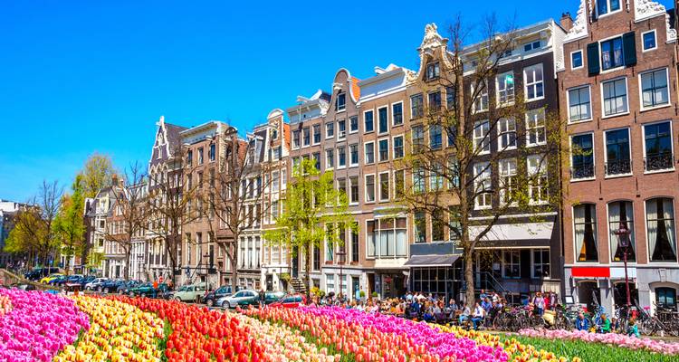 Icónicas casas del canal de Ámsterdam con una alfombra en primer plano de tulipanes coloridos bajo un cielo azul brillante.