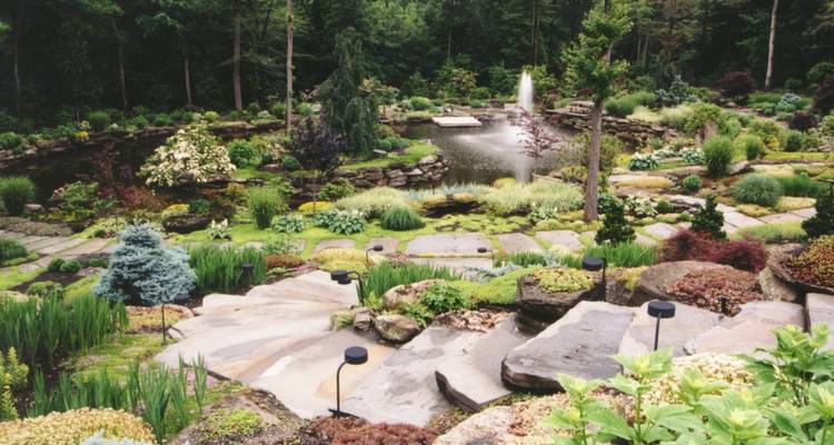 Üppiger terrassierter Steingarten mit verschiedenen Pflanzen, Steinstufen, kleinem Teich und einem Brunnen, umgeben von Wald.