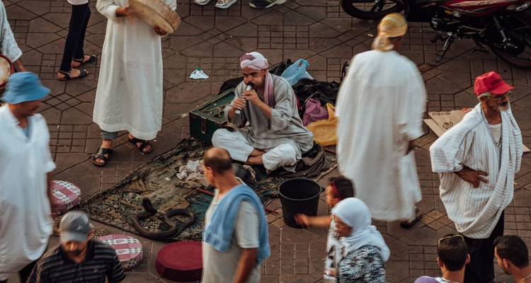 Un artiste de rue joue de la flûte près de serpents tandis que des foules en robes traditionnelles se promènent alentour.