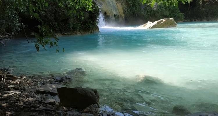 Türkisblauer Pool, gespeist von einem kleinen Dschungelwasserfall, mit Nebel, der über das klare Wasser und das felsige Ufer aufsteigt