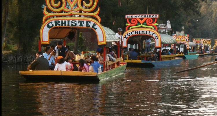 Coloridas trajineras con letreros ornamentados se deslizan por los canales de Xochimilco llevando grupos de pasajeros.