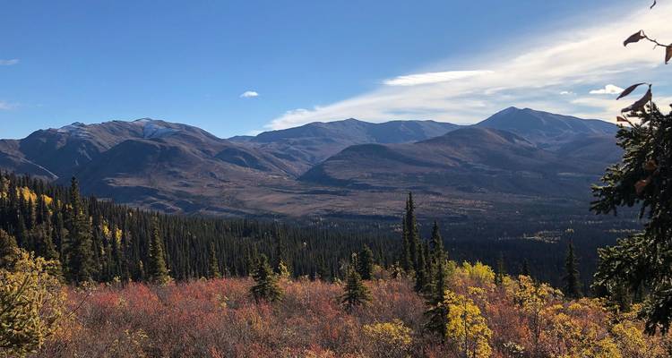 Panorama montagneux expansif avec un feuillage d'automne coloré sous un ciel dégagé