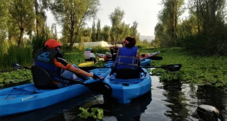 Kleine Gruppe beim Kajakfahren durch schmale Wasserwege, umgeben von Wasserpflanzen und hohen Bäumen
